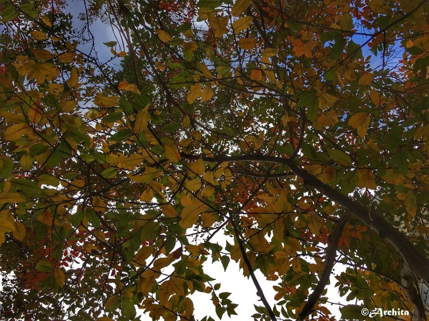 Colors under the sky.jpg